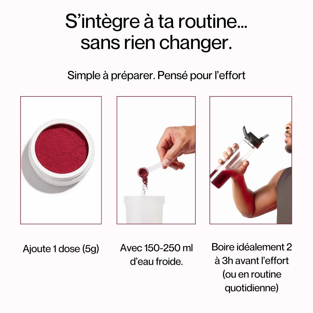 Pulse - Routine Endurance